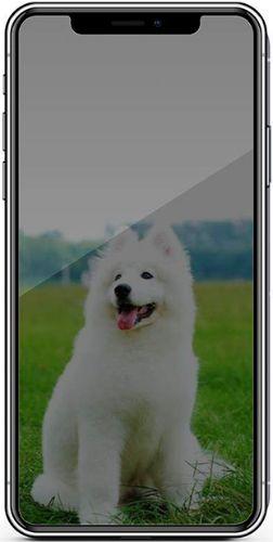 Refurbished Nuglas (2 Stück) Flacher Blickschutz-Panzerglas-Displayschutz für iPhone 11/ XR - Reebelo Deutschland